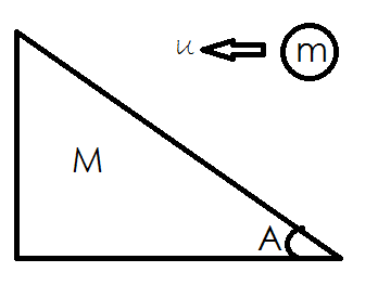 Question image for A wedge of mass M rests on a horizontal surface.